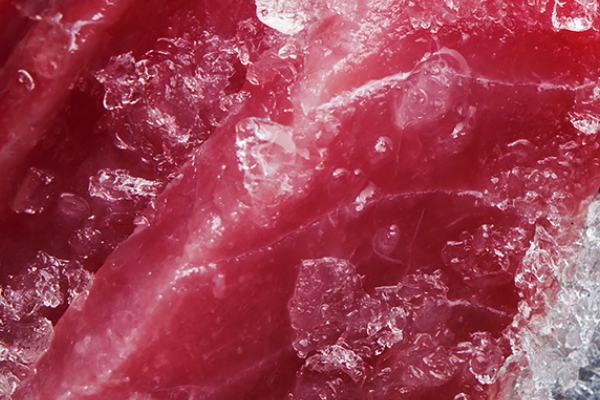 金槍魚是發(fā)物嗎 屬于發(fā)物 金槍魚是發(fā)物嗎 屬于發(fā)物