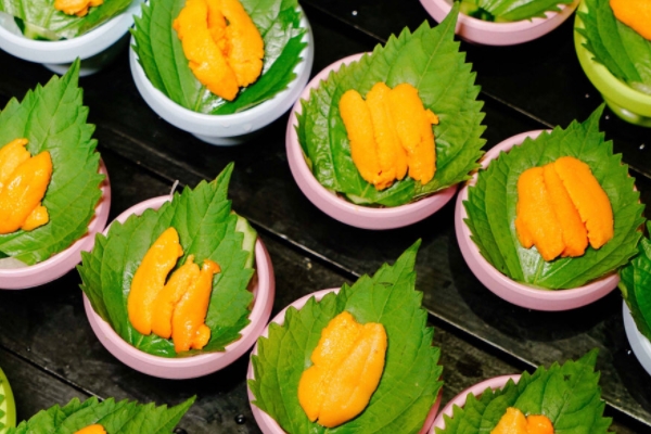 海膽為什么發(fā)苦 有兩個(gè)原因 海膽為什么發(fā)苦 有兩個(gè)原因