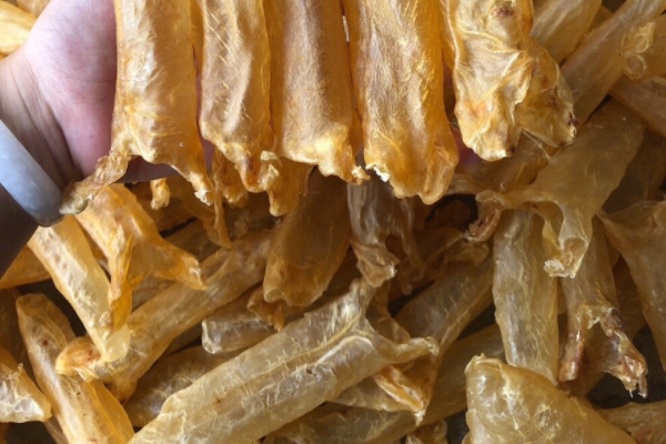 魚膠能和銀耳一起燉嗎 當然是可以的 魚膠能和銀耳一起燉嗎 當然是可以的