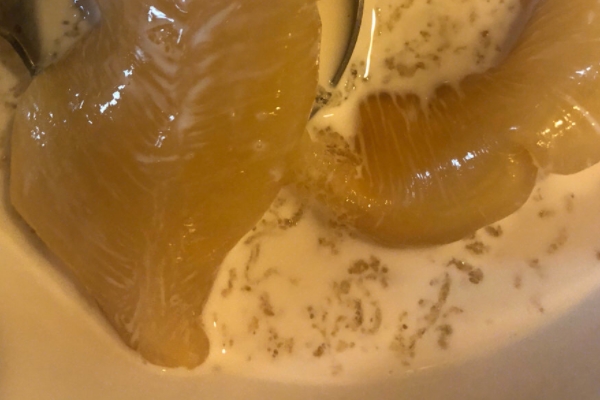 魚膠會(huì)上火嗎 性溫不上火 魚膠會(huì)上火嗎 性溫不上火