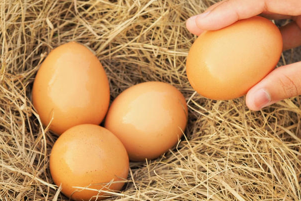 雞蛋怎么保存最新鮮 3個鮮嫩絕招 雞蛋怎么保存最新鮮 3個鮮嫩絕招