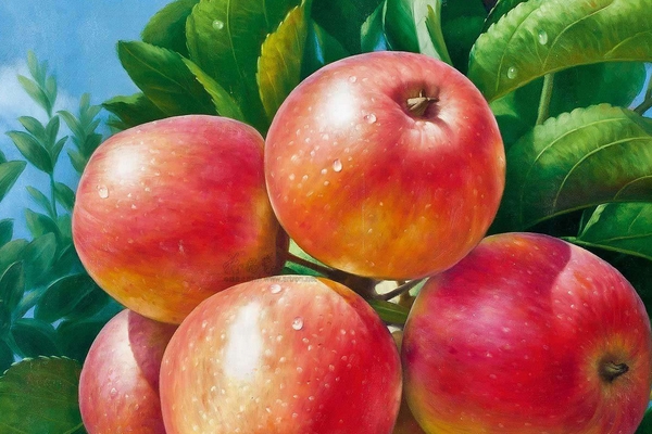 冬季我們應(yīng)該吃些什么樣的水果才好 冬季我們應(yīng)該吃些什么樣的水果才好