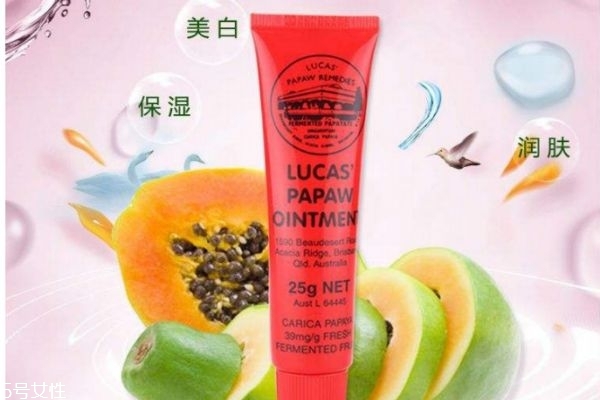 澳洲木瓜膏功效 澳洲木瓜膏怎么用 澳洲木瓜膏功效 澳洲木瓜膏怎么用