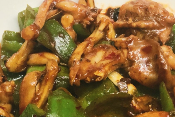 牛蛙有哪些品種 主要是四個(gè)品種 牛蛙有哪些品種 主要是四個(gè)品種