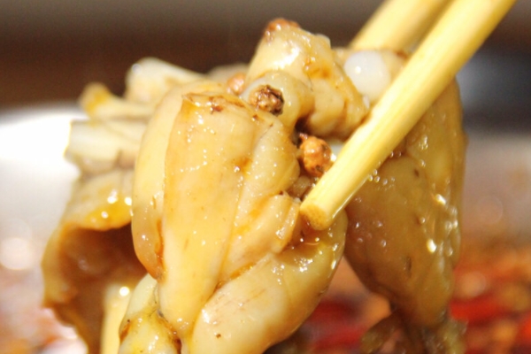 牛蛙有哪些品種 主要是四個(gè)品種 牛蛙有哪些品種 主要是四個(gè)品種