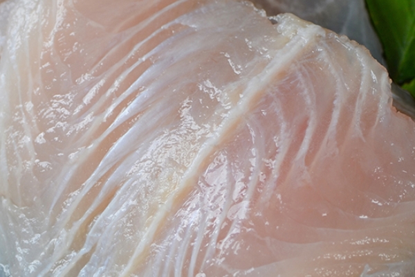 龍利魚(yú)怎么蒸 這樣蒸出來(lái)好美味 龍利魚(yú)怎么蒸 這樣蒸出來(lái)好美味