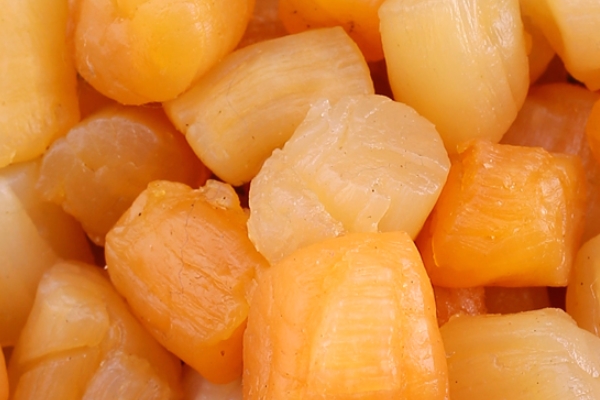 瑤柱可以煲什么湯 教你做出一道美味湯 瑤柱可以煲什么湯 教你做出一道美味湯