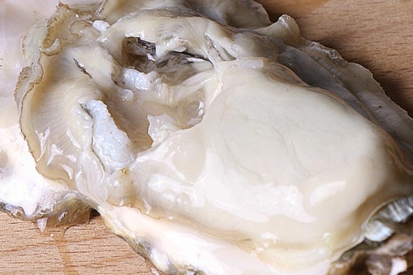 生蠔為什么可以生吃 不是所有生蠔都可以生吃 生蠔為什么可以生吃 不是所有生蠔都可以生吃