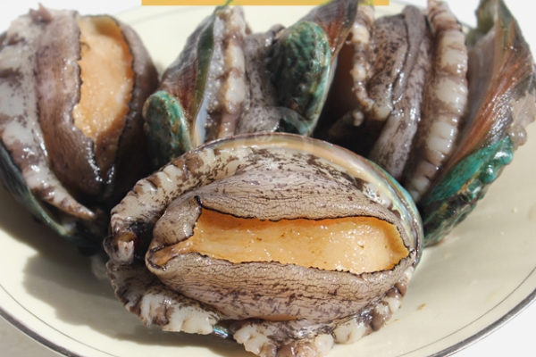 鮑魚為什么腥臭 可能是沒處理干凈 鮑魚為什么腥臭 可能是沒處理干凈