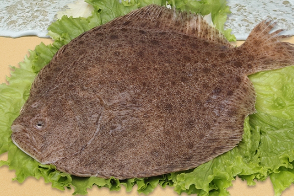 多寶魚怎么處理 按照這個(gè)方法準(zhǔn)沒錯(cuò) 多寶魚怎么處理 按照這個(gè)方法準(zhǔn)沒錯(cuò)