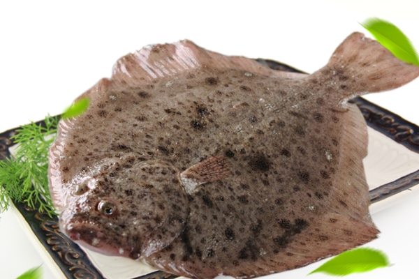 多寶魚(yú)可以切塊紅燒嗎 當(dāng)然是可以的 多寶魚(yú)可以切塊紅燒嗎 當(dāng)然是可以的