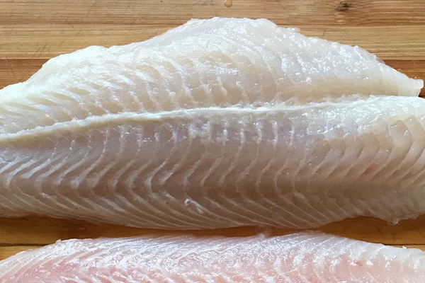 龍利魚(yú)可以減肥嗎 不利于減肥 龍利魚(yú)可以減肥嗎 不利于減肥