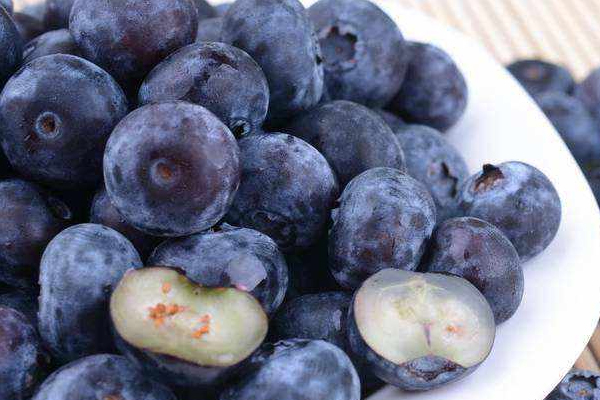 進口藍莓產(chǎn)地哪里最好 這些產(chǎn)地要知道