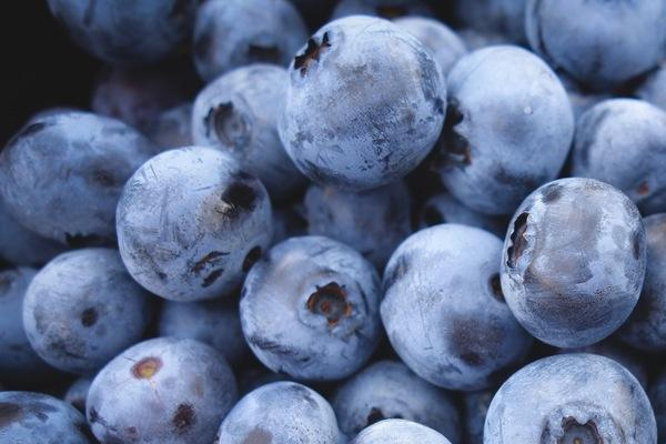進口藍莓產(chǎn)地哪里最好 這些產(chǎn)地要知道