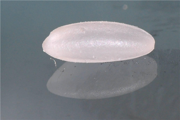 米蟲是怎么長出來的 其實卵在米里面 米蟲是怎么長出來的 其實卵在米里面