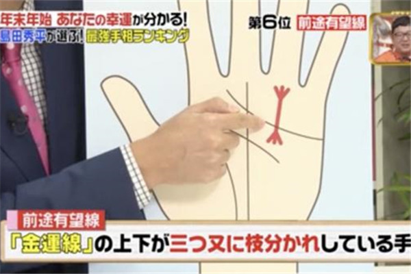 所羅門之星手相圖解 日本手相圖解大全 所羅門之星手相圖解 日本手相圖解大全