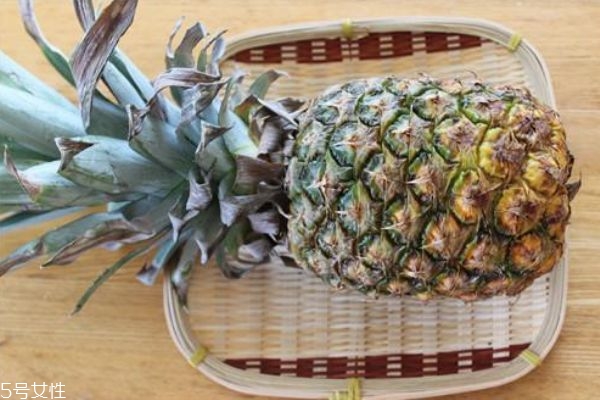 菠蘿是鳳梨嗎 菠蘿是鳳梨的一種 菠蘿是鳳梨嗎 菠蘿是鳳梨的一種