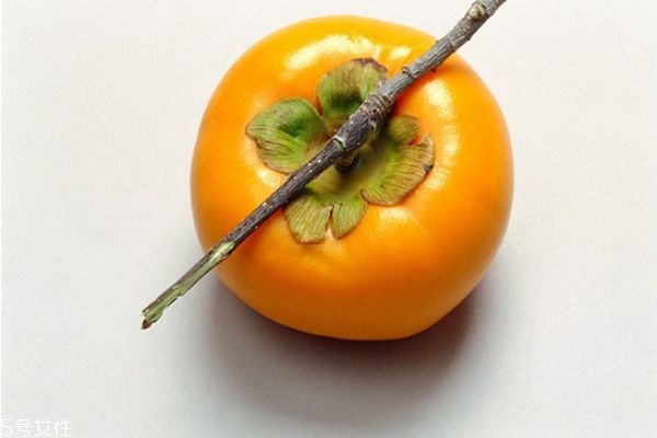 喝柿子醋能減肥嗎 柿子醋的功效與作用 喝柿子醋能減肥嗎 柿子醋的功效與作用