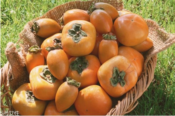 柿子醋可以直接喝嗎 柿子醋的做法 柿子醋可以直接喝嗎 柿子醋的做法