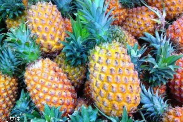 菠蘿是鳳梨嗎 菠蘿是鳳梨的一種 菠蘿是鳳梨嗎 菠蘿是鳳梨的一種