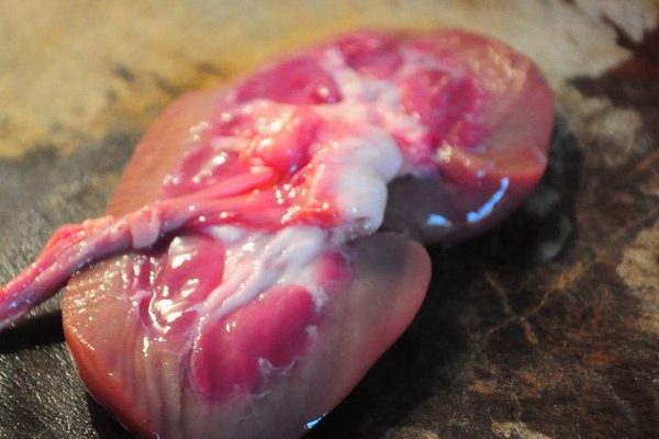 豬腰子可以涮火鍋嗎 需要經(jīng)過腌制 豬腰子可以涮火鍋嗎 需要經(jīng)過腌制