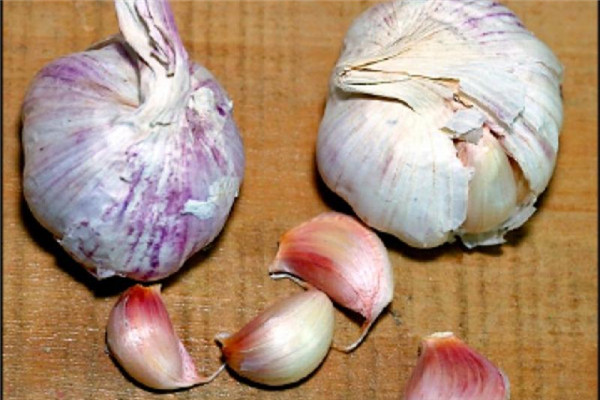 蔥姜蒜的作用 蔥姜蒜有良效 蔥姜蒜的作用 蔥姜蒜有良效