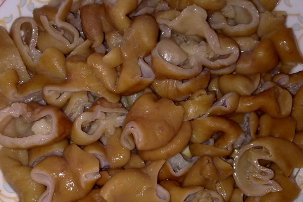 豬腸能用食用堿洗嗎 不推薦這個方法 豬腸能用食用堿洗嗎 不推薦這個方法