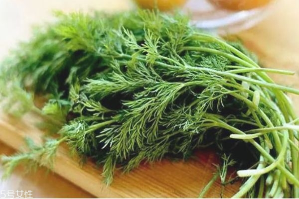 冬季適合吃什么蔬菜 適合冬天吃的蔬菜