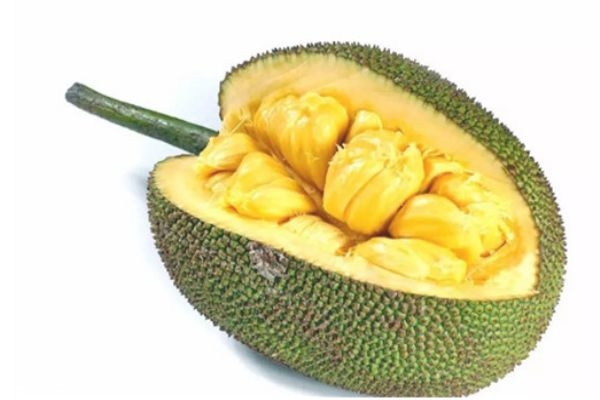 怎么判斷菠蘿蜜是否成熟 菠蘿蜜挑選方法 怎么判斷菠蘿蜜是否成熟 菠蘿蜜挑選方法