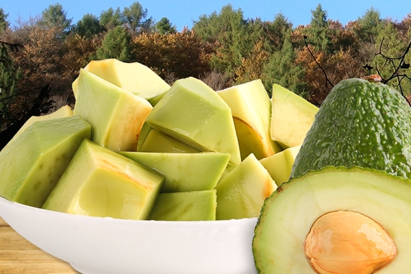 牛油果怎么做輔食 教你幾個(gè)方法 牛油果怎么做輔食 教你幾個(gè)方法