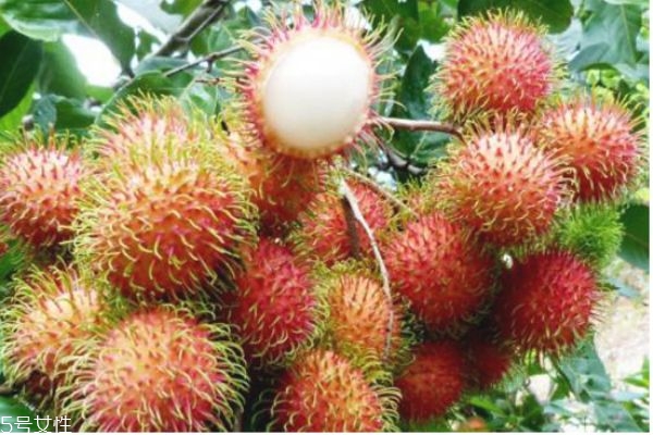 紅毛丹的營養(yǎng)價(jià)值及禁忌 紅毛丹的吃法