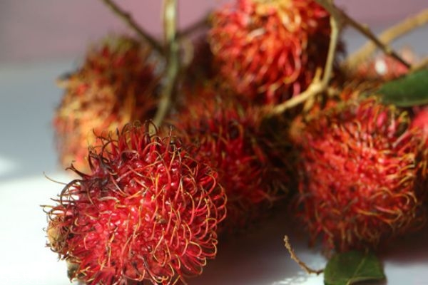 紅毛丹的營養(yǎng)價(jià)值及禁忌 紅毛丹的吃法