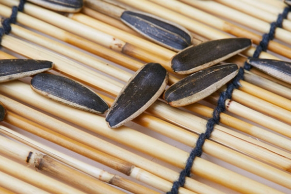 葵花籽是轉(zhuǎn)基因的嗎 基本上不是 葵花籽是轉(zhuǎn)基因的嗎 基本上不是