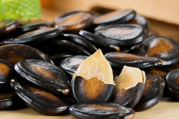 西瓜子為什么那么大 特殊的品種 西瓜子為什么那么大 特殊的品種