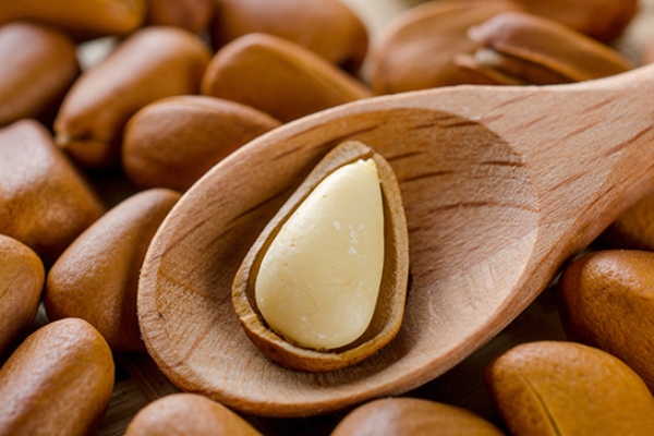 松子為什么不能多吃 吃多了有害無益 松子為什么不能多吃 吃多了有害無益