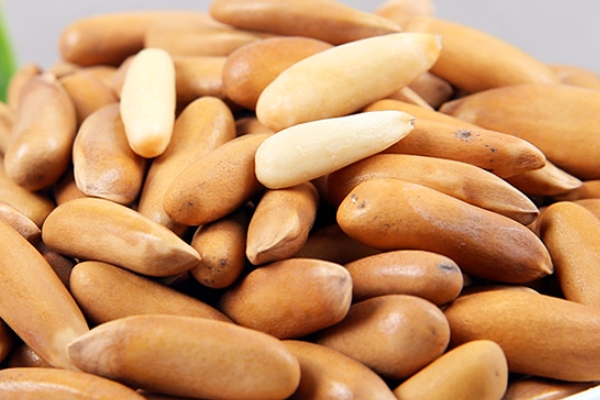 松子為什么不能多吃 吃多了有害無益 松子為什么不能多吃 吃多了有害無益