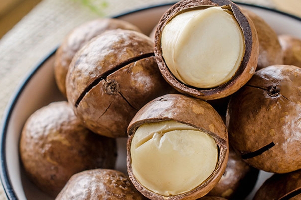 夏威夷果為什么有奶香味 加工而來 夏威夷果為什么有奶香味 加工而來