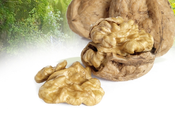 核桃為什么這么貴 原因有三 核桃為什么這么貴 原因有三