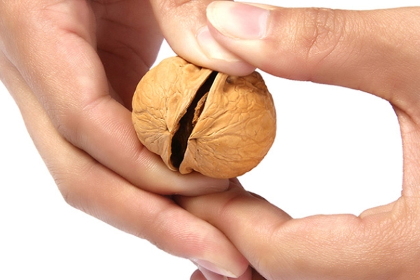 核桃怎么榨汁 教你具體做法 核桃怎么榨汁 教你具體做法