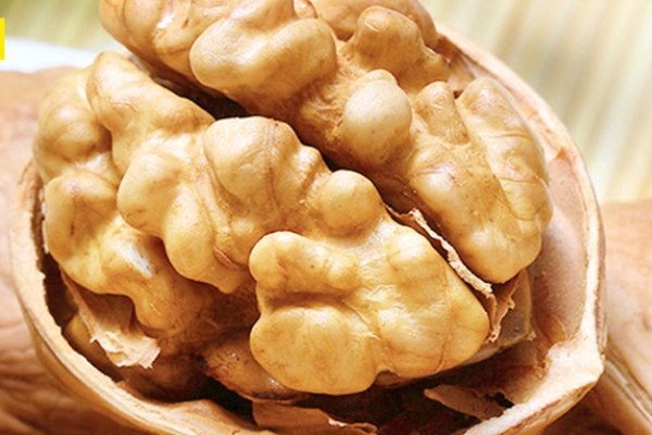 核桃怎么榨汁 教你具體做法 核桃怎么榨汁 教你具體做法