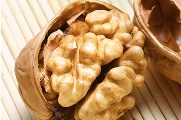 核桃怎么種植 需要細心照料 核桃怎么種植 需要細心照料