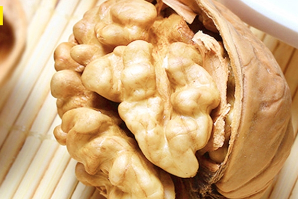 核桃怎么種植 需要細心照料 核桃怎么種植 需要細心照料