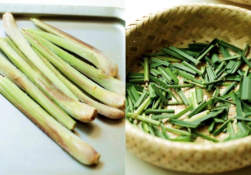 檸檬草如何種植 檸檬草怎么種植 檸檬草如何種植 檸檬草怎么種植