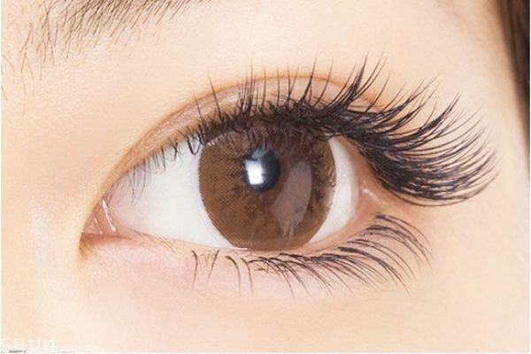 嫁接睫毛怎么保持更長時(shí)間 嫁接睫毛的詳細(xì)步驟