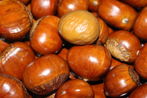 糖炒板栗怎么做 教你兩個做法 糖炒板栗怎么做 教你兩個做法