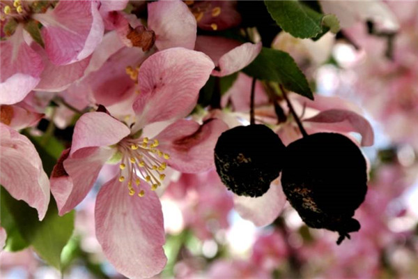 女人從多大開始變老 28歲發(fā)育終點 女人從多大開始變老 28歲發(fā)育終點