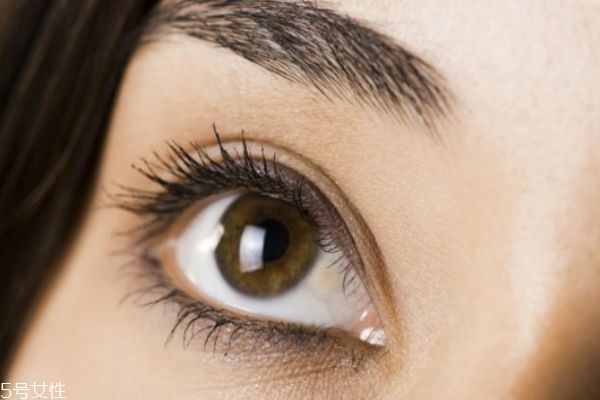 睫毛老是掉怎么辦 睫毛老是掉什么原因 睫毛老是掉怎么辦 睫毛老是掉什么原因