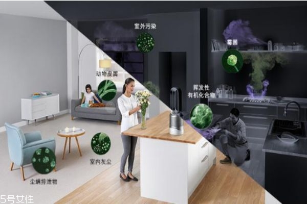 空氣污染氣喘更嚴重 如何清除家中過敏原 空氣污染氣喘更嚴重 如何清除家中過敏原