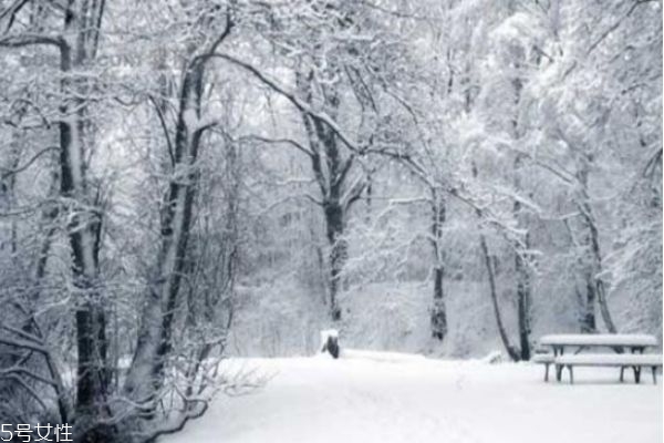 冬季養(yǎng)生重點(diǎn)保暖的八個(gè)部位要注意 冬季養(yǎng)生重點(diǎn)保暖的八個(gè)部位要注意