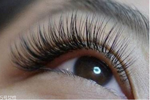 嫁接睫毛怎么保持更長時(shí)間 嫁接睫毛的詳細(xì)步驟